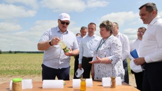Александр Лукашенко во время посещения Шкловского района, июнь 2022 года