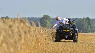 Александр Лукашенко на пшеничном поле ОАО &quot;Александрийское&quot;, август 2017 года