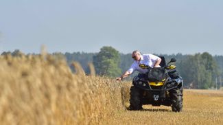 Александр Лукашенко во время посещения пшеничного поля ОАО &quot;Александрийское&quot;, август 2017 года
