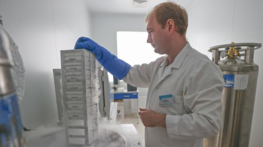 Биолог Игорь Северин: лаборатория оснащена специальным криооборудованием для длительного хранения и консервации биоматериала
