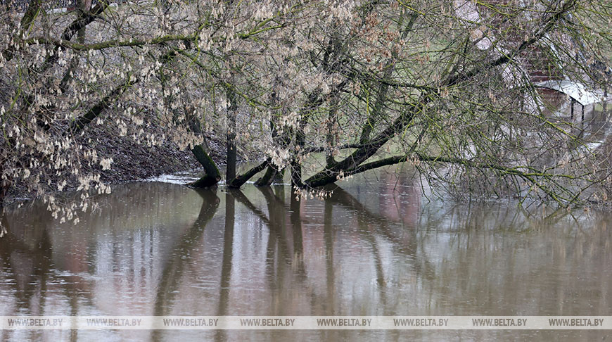 Фото из архива