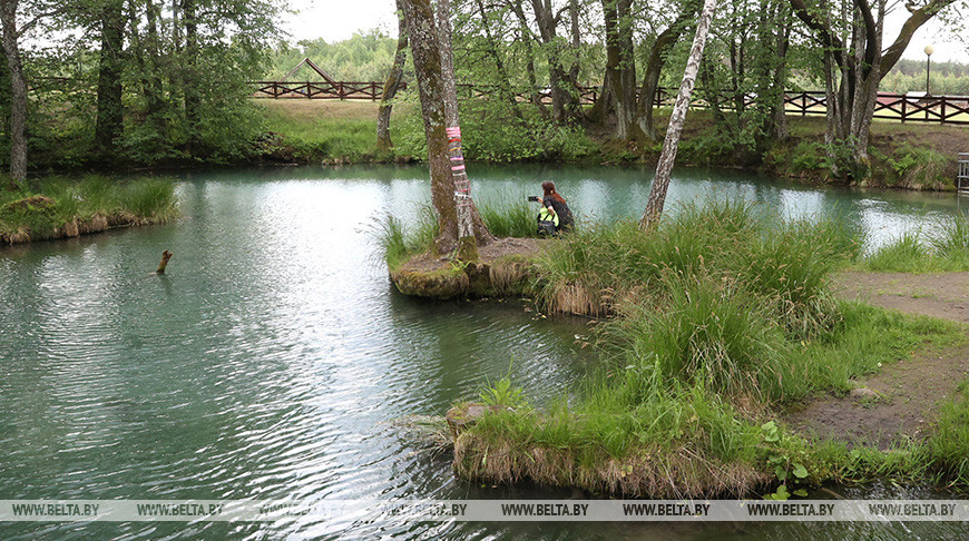 Гидрологический памятник природы "Голубая криница" в Славгородском районе. Фото из архива