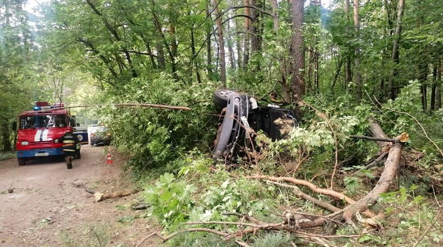 Фото УГАИ ГУВД Мингорисполкома
