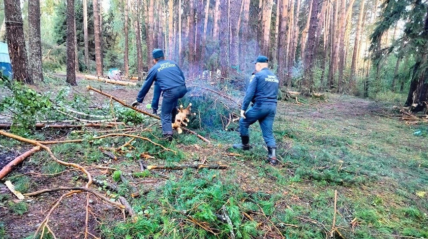 Фото ГУ МЧС России по Республике Марий Эл