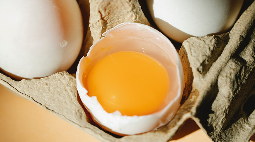 Краски на яичном желтке. Желток яйца Чайки. Живопись масляная краска с яичным желтком. Живопись масляная краска с яичным желтком работы.