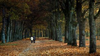 22 октября 2019 года. Осень в парк &quot;Маньковичи&quot; в Столине
