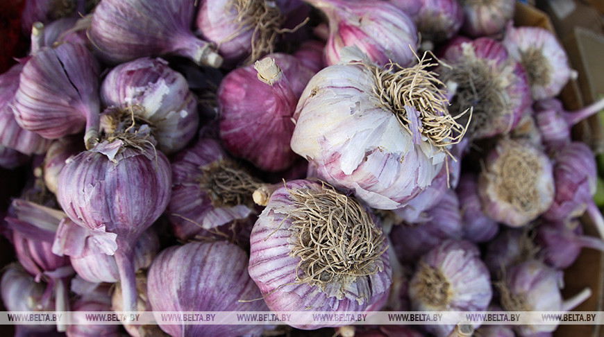 Фото из архива