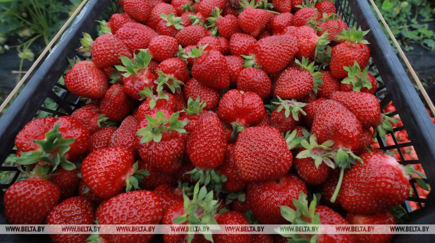 Фото из архива