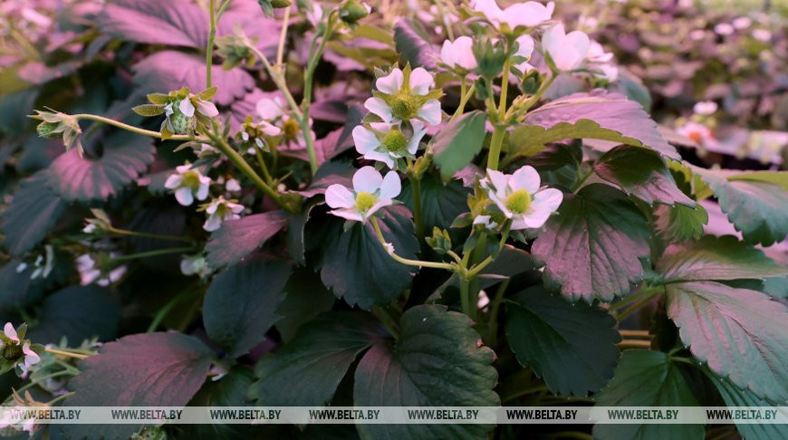 Фото из архива