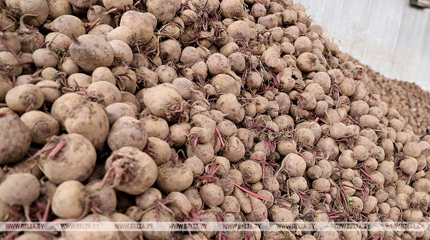 Фото из архива