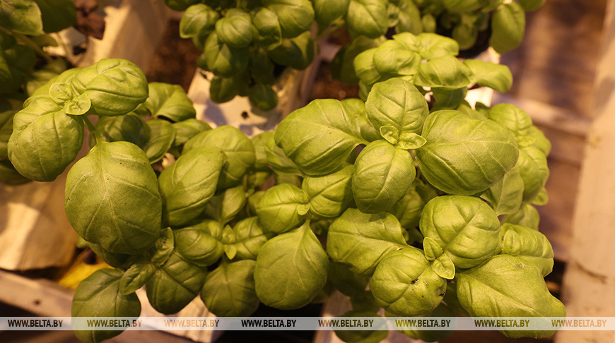 Фото из архива