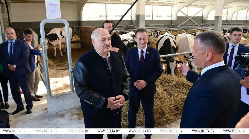 Александр Лукашенко во время посещения молочно-товарного комплекса в Дзержинском районе