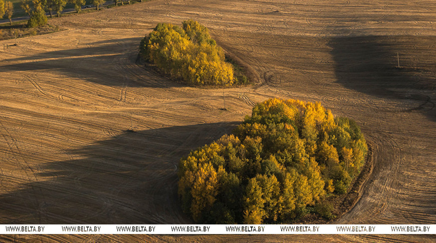 Фото из архива