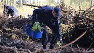 Фото УСК по Могилевской области