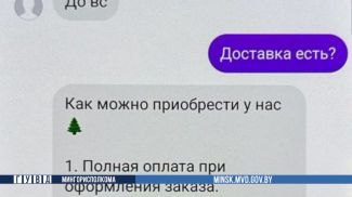 Скриншот видео ГУВД Мингорисполкома