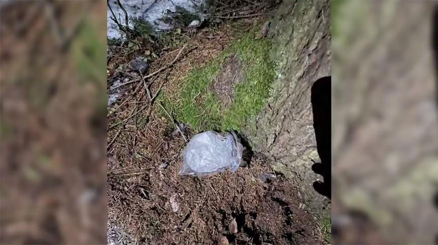 Скриншот видео ГУВД Мингорисполкома