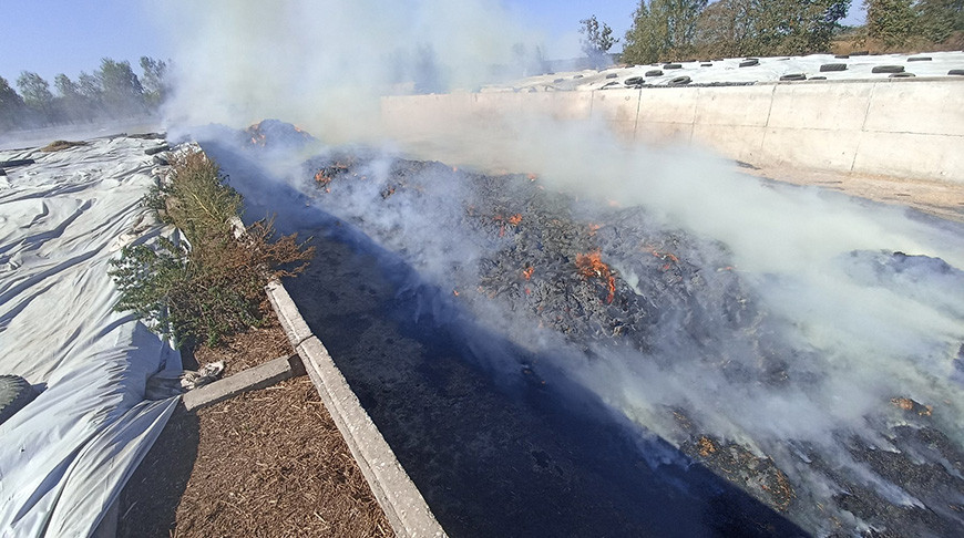 Фото Могилевского областного УМЧС