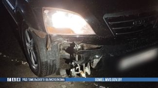 Фото УВД Гомельского облисполкома