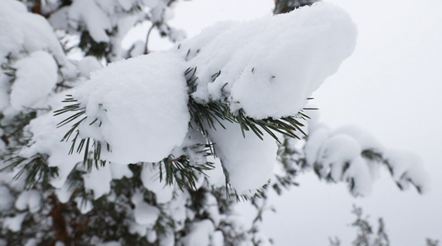 Фото из архива