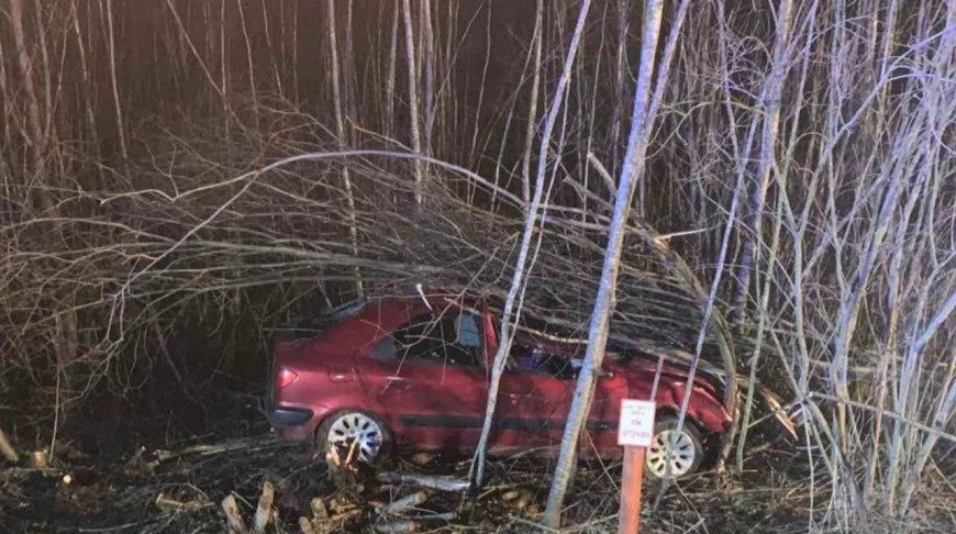 Фото ГАИ УВД Витебского облисполкома