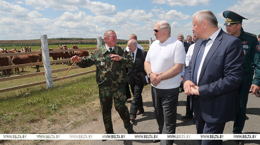 Александр Лукашенко во время посещения Полесского государственного радиационно-экологического заповедника в Хойникском районе, июнь 2017 года