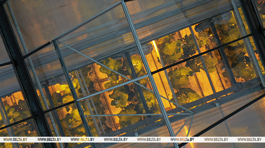 Фото из архива