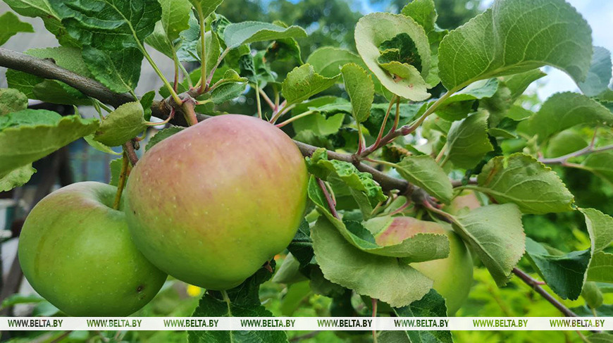 Фото из архива