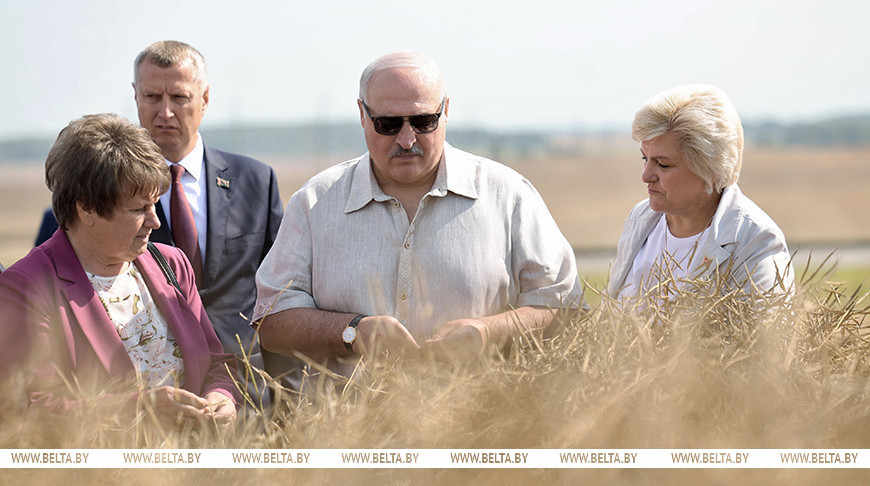 Александр Лукашенко во время посещения ОАО "Озерицкий-Агро" в Смолевичском районе