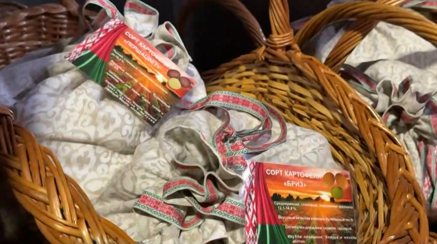 Скриншот видео телеканала "Беларусь 1"