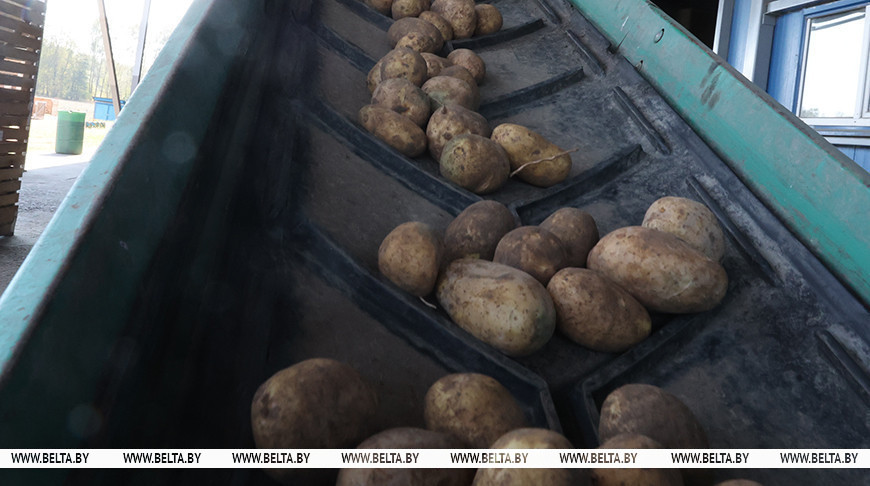 Фото из архива