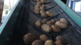 Фото из архива