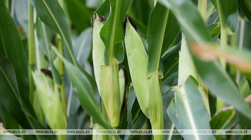 Фото из архива