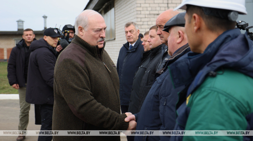 Лукашенко представили проект опытного строительства МТК из деревянных конструкций