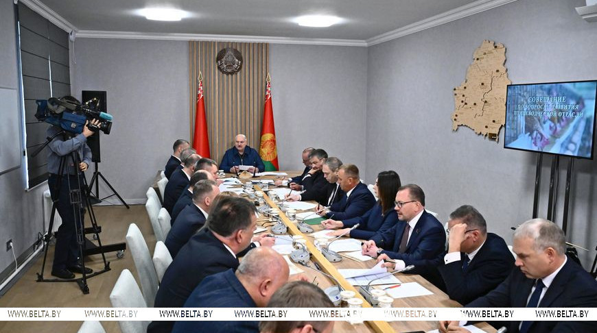 Александр Лукашенко во время совещания о развитии птицеводческой отрасли в стране
