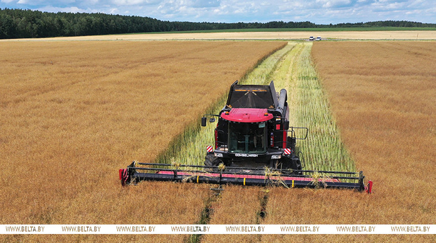 Фото из архива