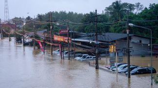 Фото Синьхуа