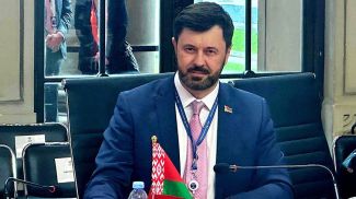 Сергей Лукашевич. Фото МИД