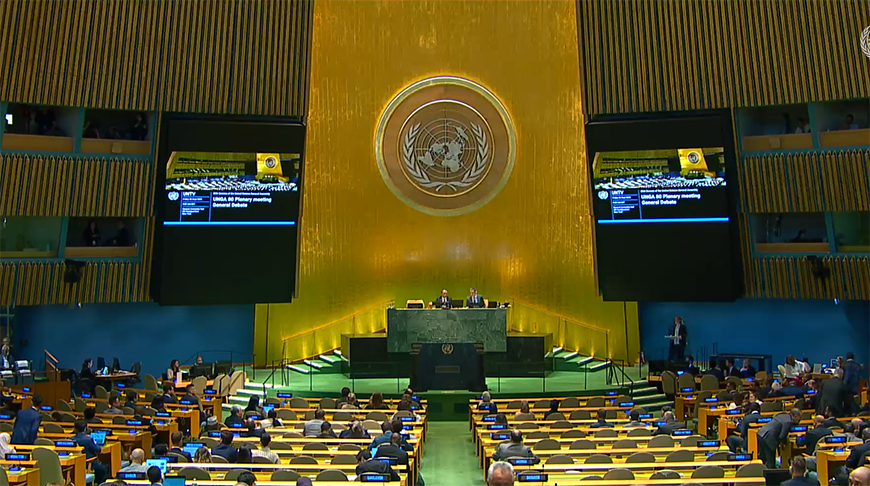 Скриншот видео un.org