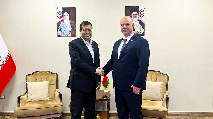 Ахмад Доньямали и Дмитрий Кольцов. Фото МИД