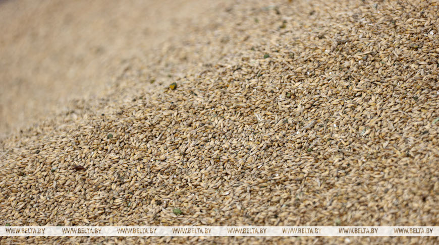 Фото из архива