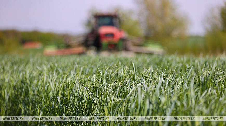 Фото из архива