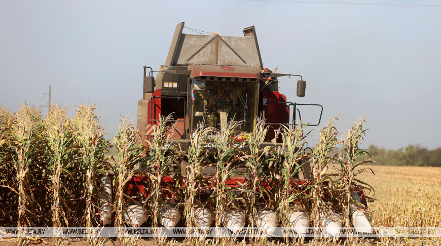 Фото из архива