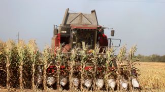 Фото из архива