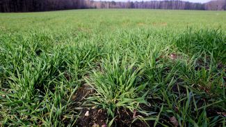 Фото из архива