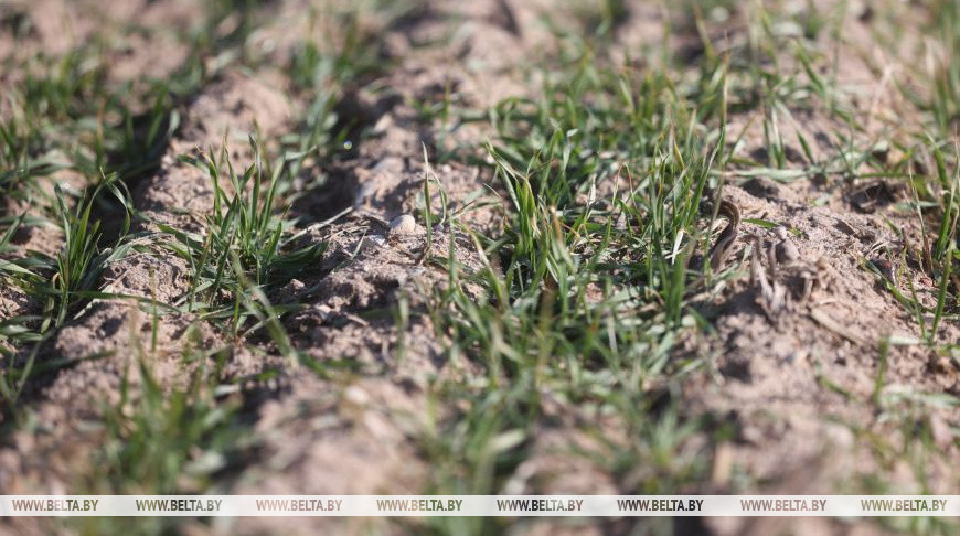 Фото из архива