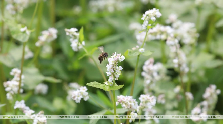 Фото из архива