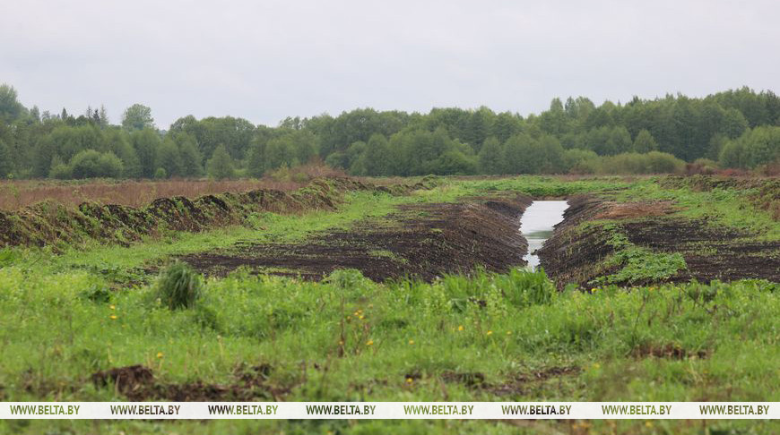 Фото из архива