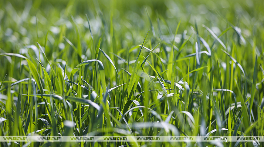 Фото из архива