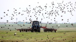 Фото из архива