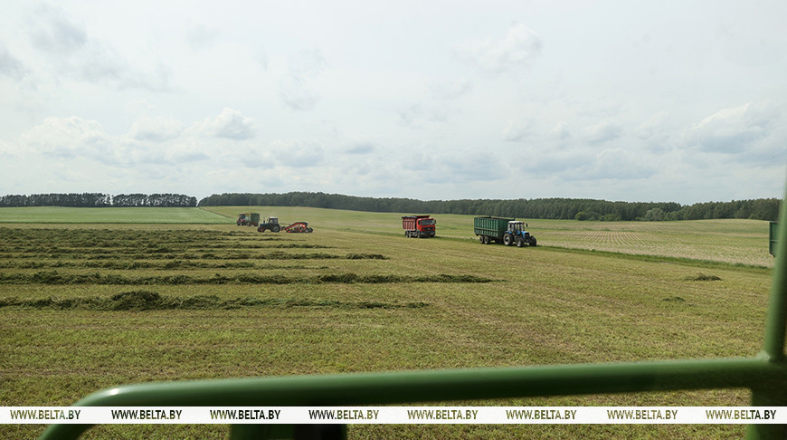 Фото из архива